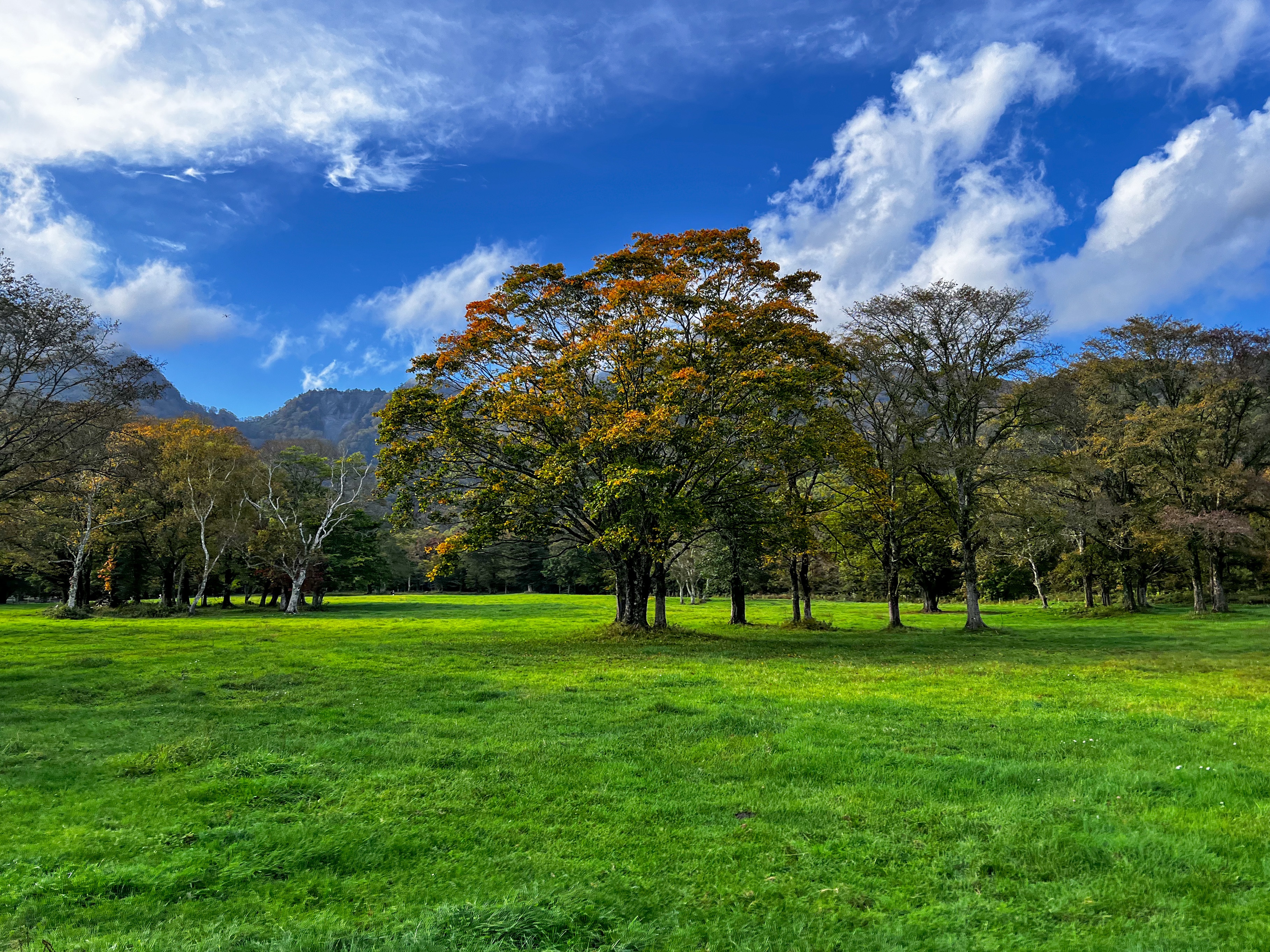 f:id:CNwriting:20251021132016j:image f:id:CNwriting:20251021132016j:image