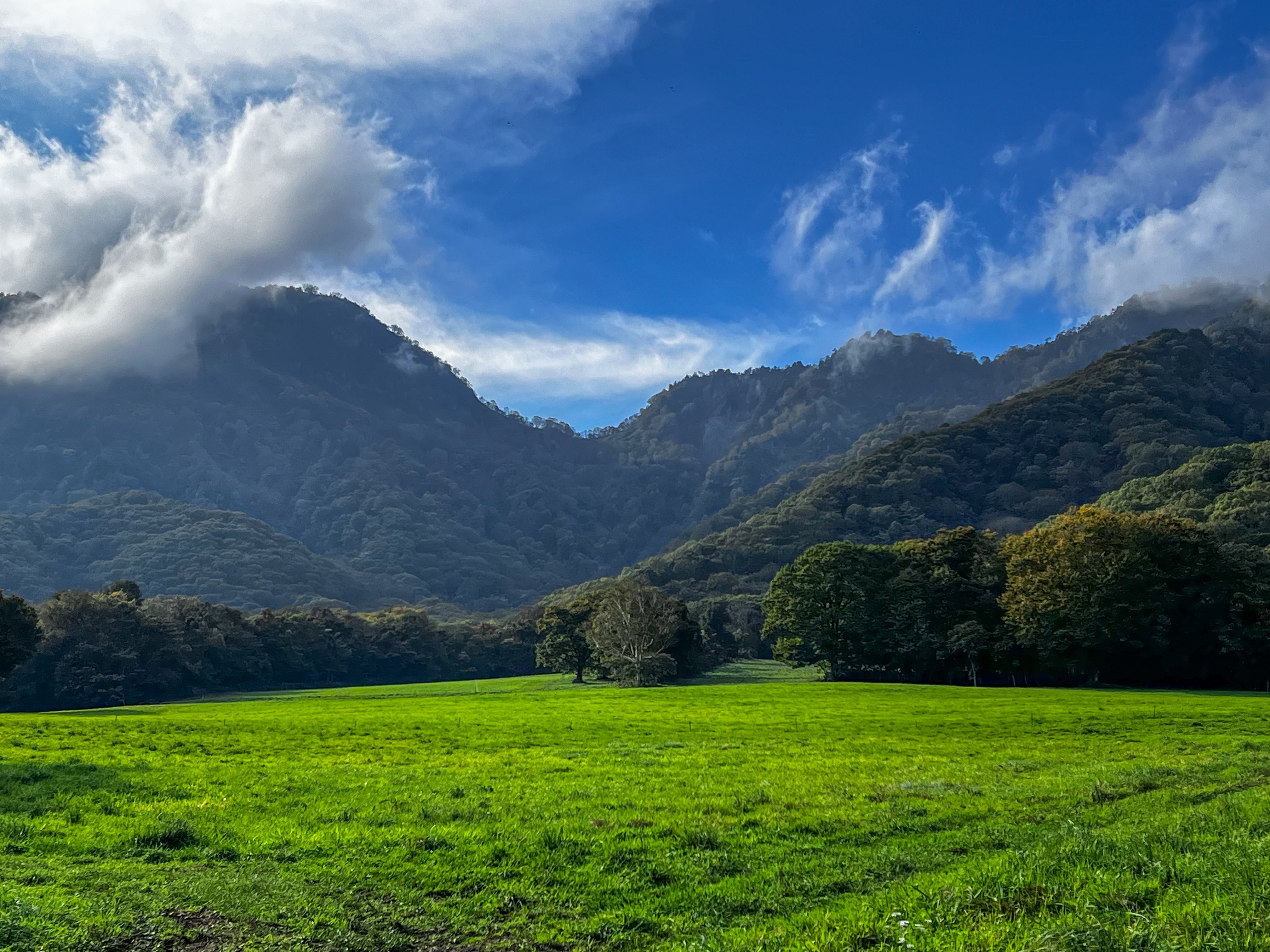 f:id:CNwriting:20251021132103j:image f:id:CNwriting:20251021132103j:image