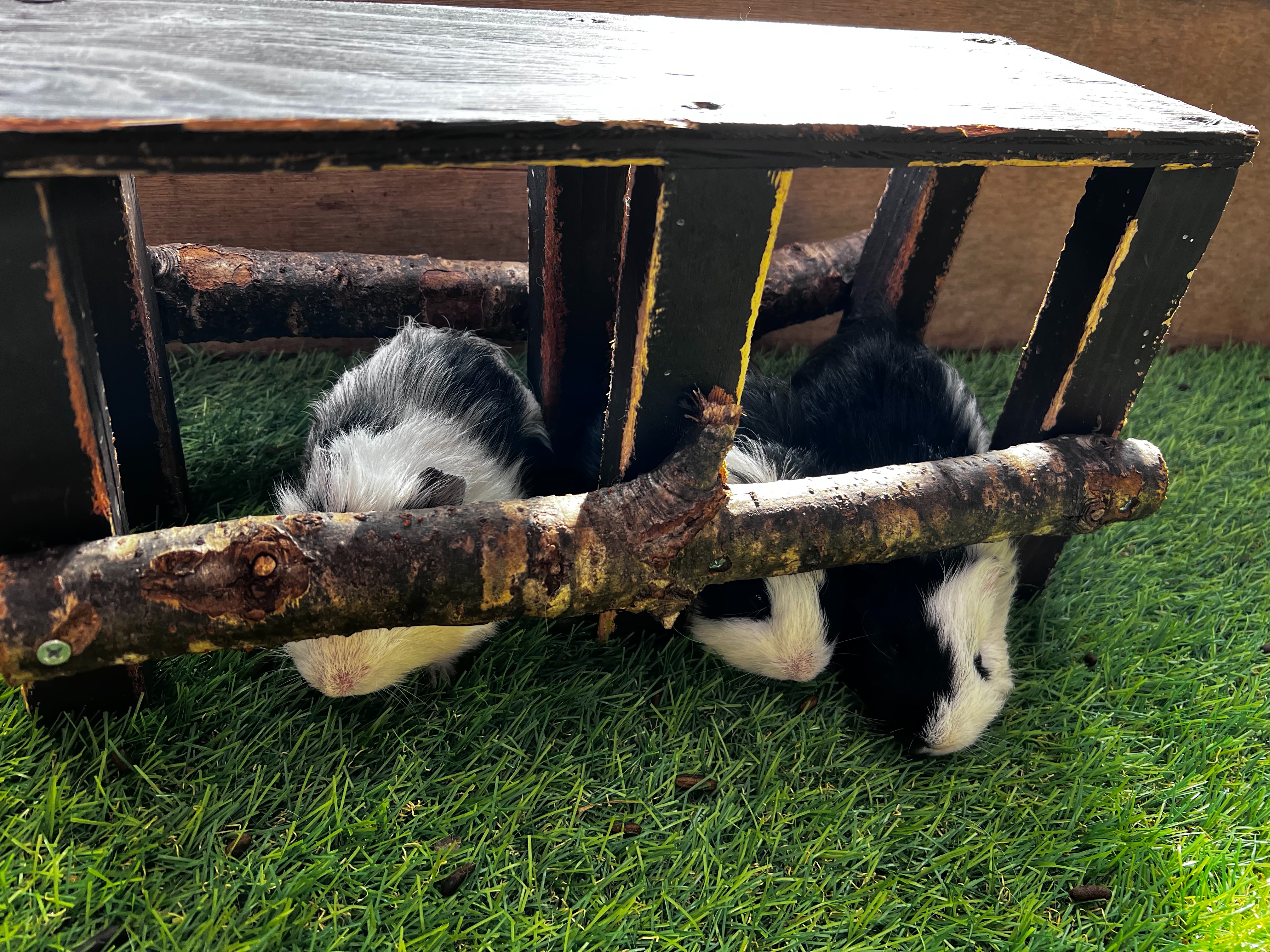 f:id:CNwriting:20251021132224j:image f:id:CNwriting:20251021132224j:image