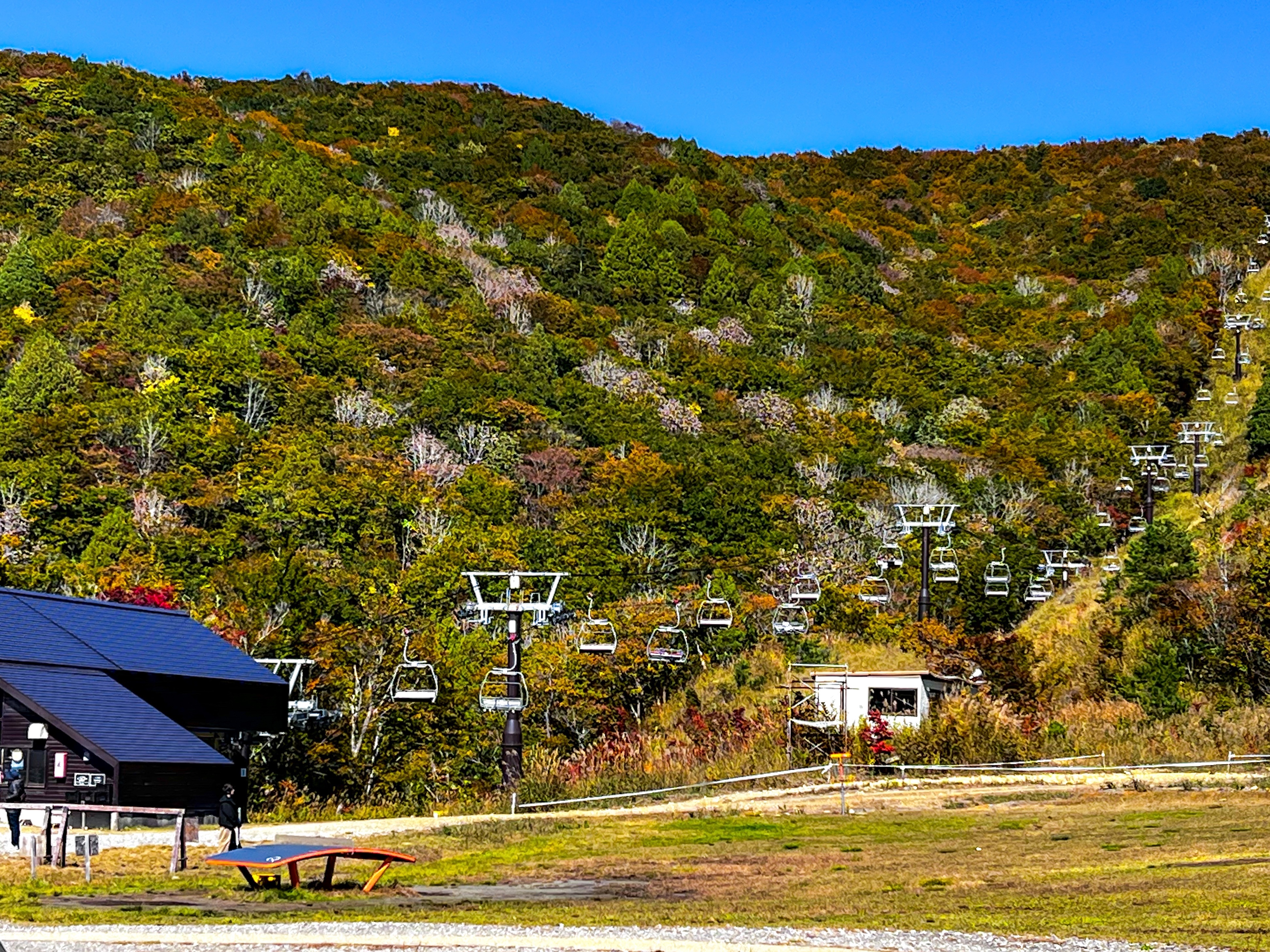 f:id:CNwriting:20251023222840j:image