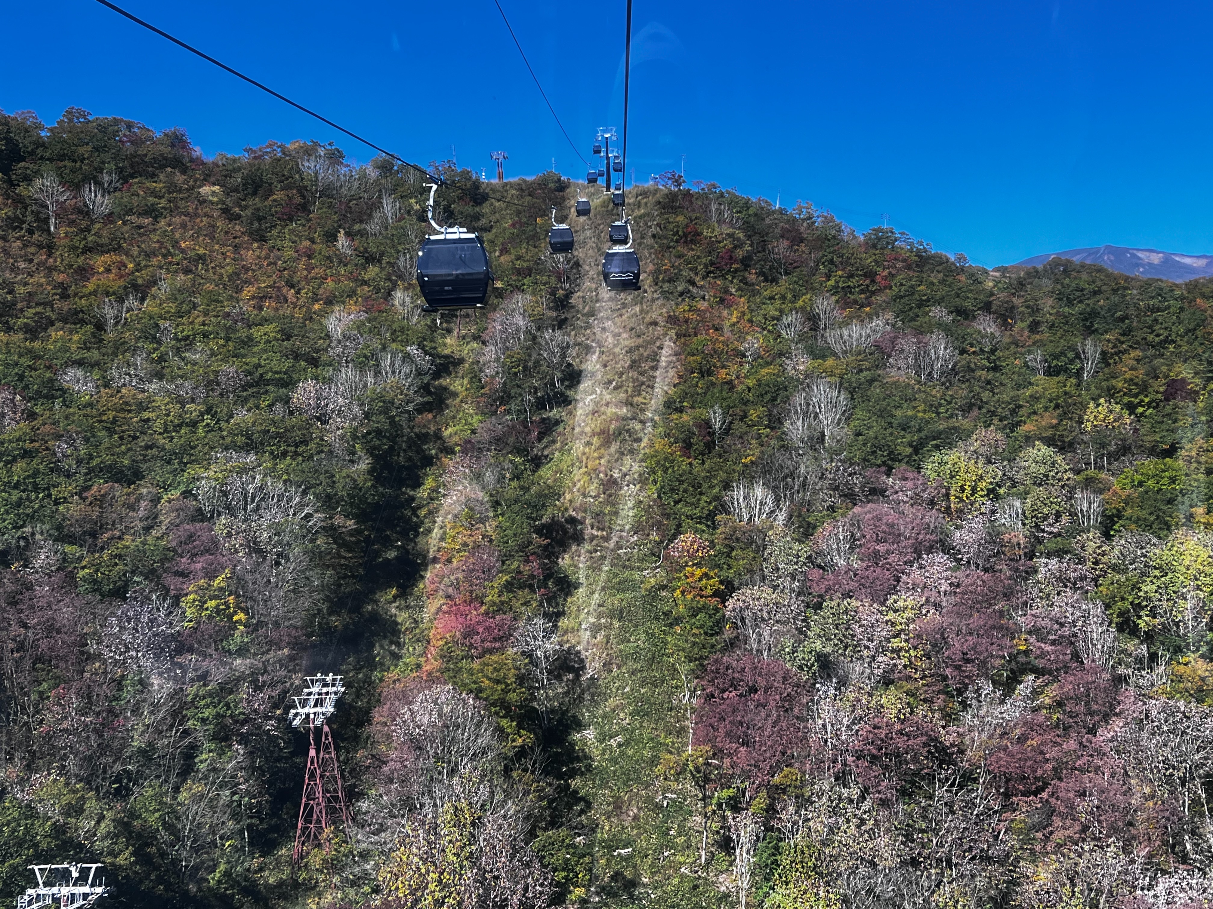 f:id:CNwriting:20251023223017j:image