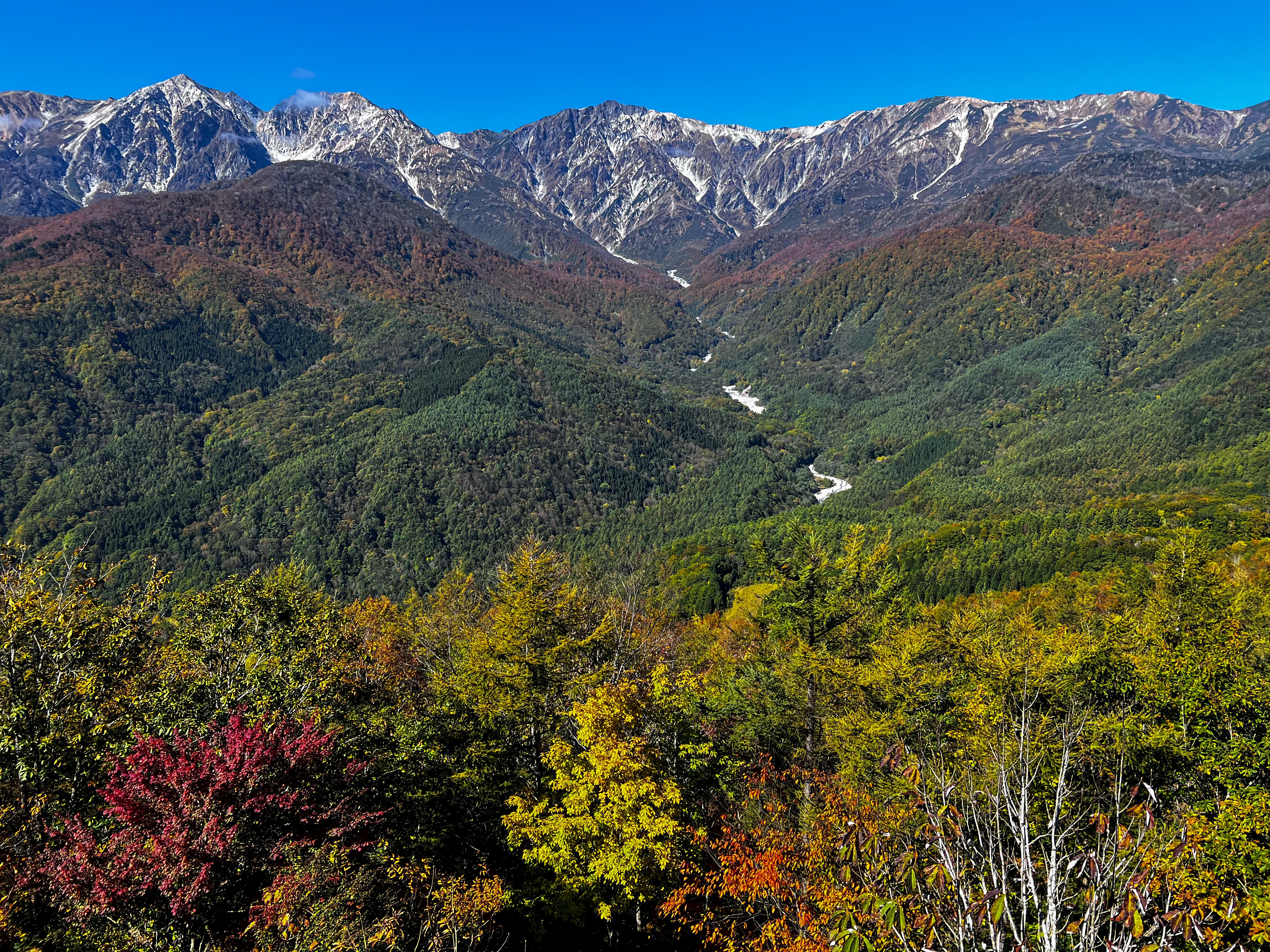 f:id:CNwriting:20251023224702j:image