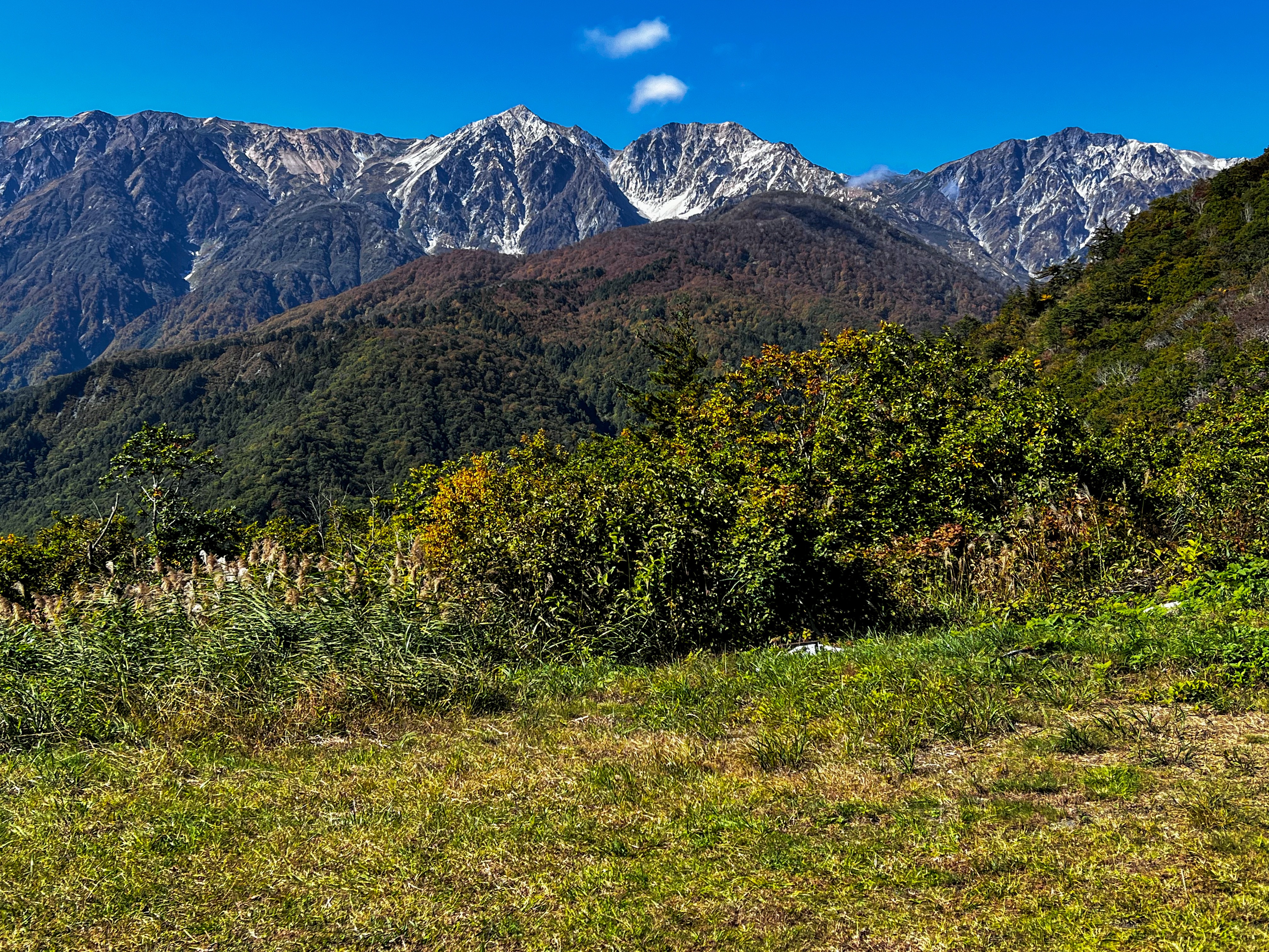 f:id:CNwriting:20251023224733j:image