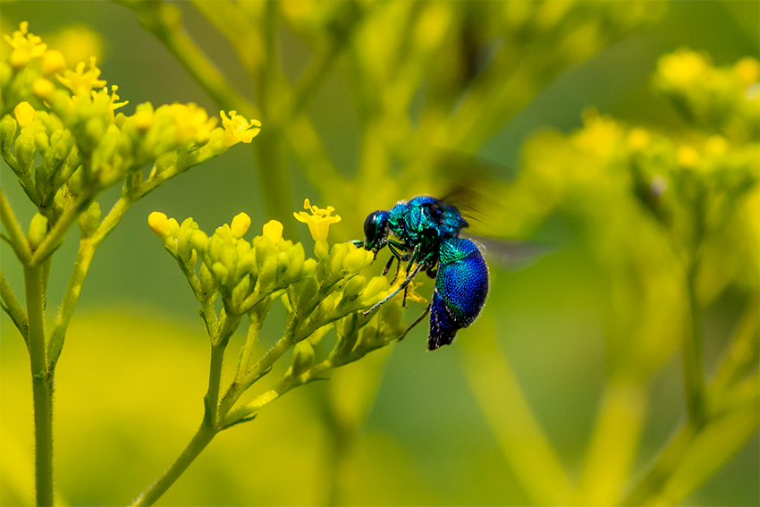 f:id:COCO:20190803180312p:image f:id:COCO:20190803180312p:image