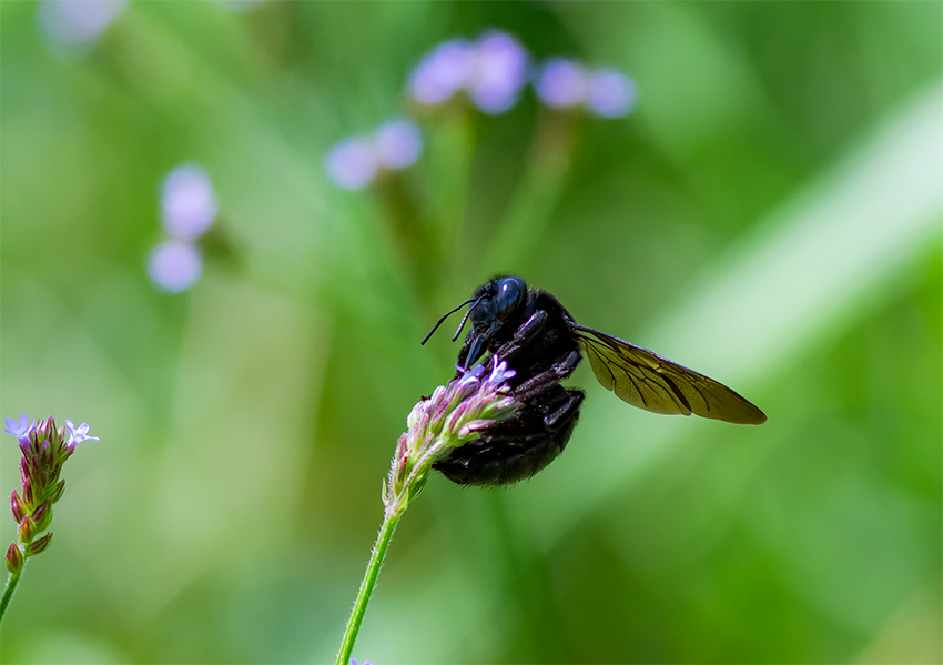 f:id:COCO:20190812163058p:image f:id:COCO:20190812163058p:image