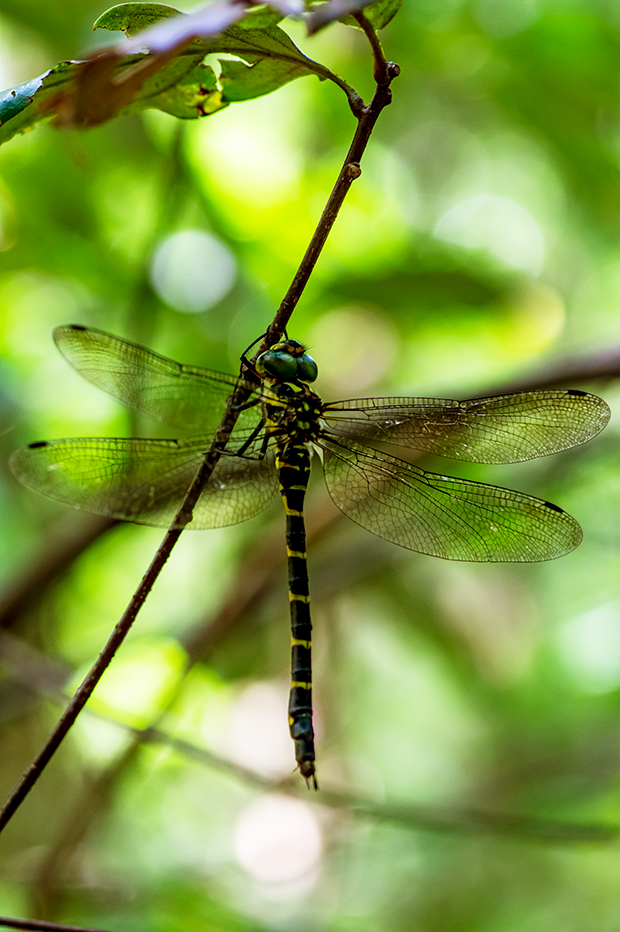 f:id:COCO:20190818132151p:image f:id:COCO:20190818132151p:image