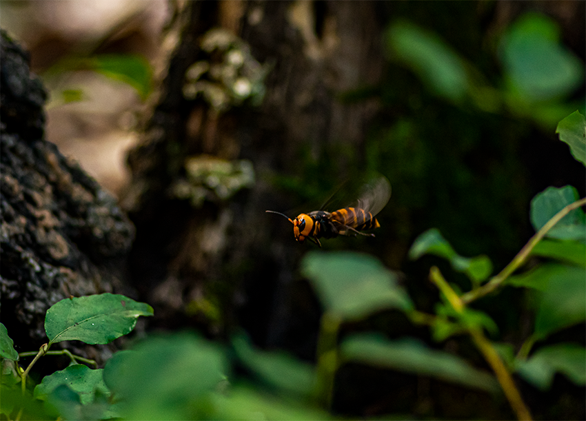 f:id:COCO:20190818145916p:image f:id:COCO:20190818145916p:image