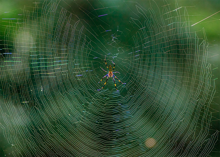 f:id:COCO:20190901185225p:image f:id:COCO:20190901185225p:image