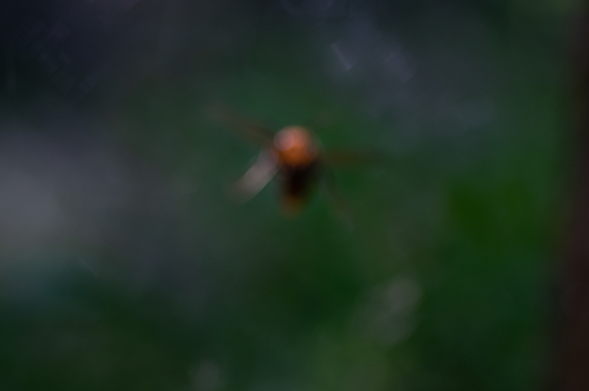 f:id:COCO:20190901185428p:image f:id:COCO:20190901185428p:image