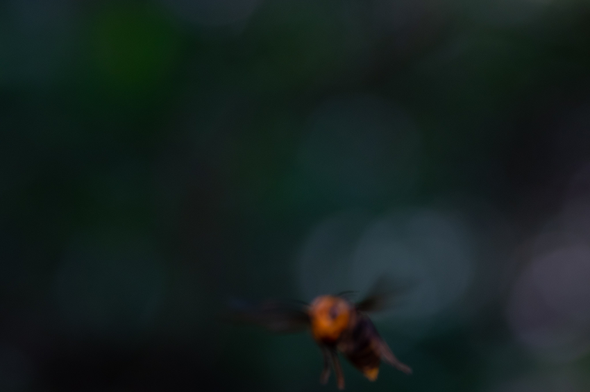 f:id:COCO:20190901185435p:image f:id:COCO:20190901185435p:image