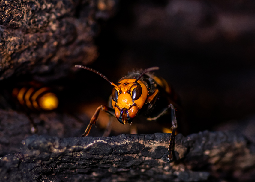 f:id:COCO:20190901185441p:image f:id:COCO:20190901185441p:image