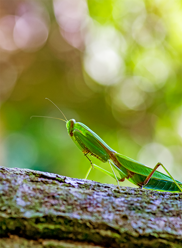 f:id:COCO:20190907191338p:image f:id:COCO:20190907191338p:image