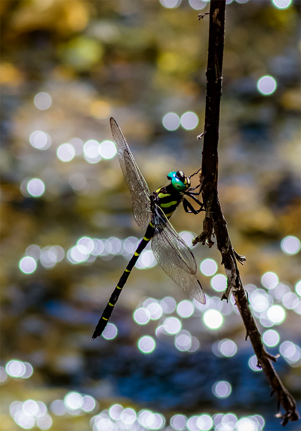 f:id:COCO:20190915145119p:image f:id:COCO:20190915145119p:image