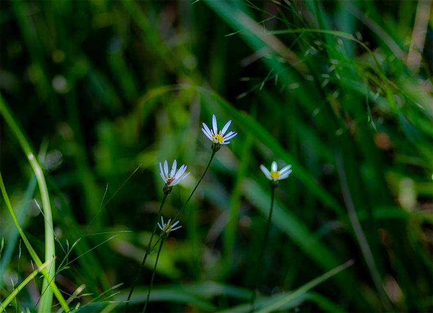 f:id:COCO:20190915145222p:image f:id:COCO:20190915145222p:image
