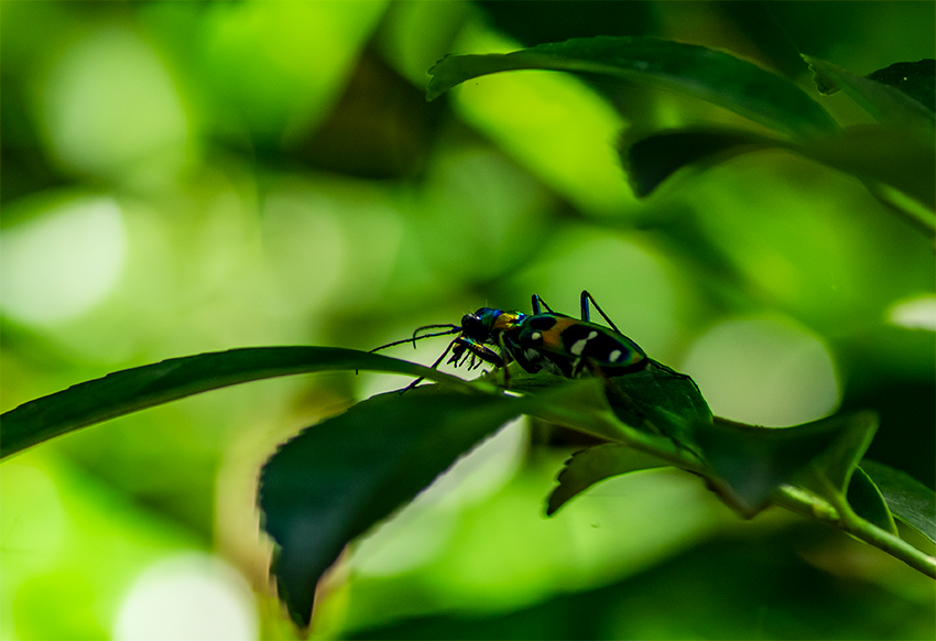 f:id:COCO:20190915145238p:image f:id:COCO:20190915145238p:image