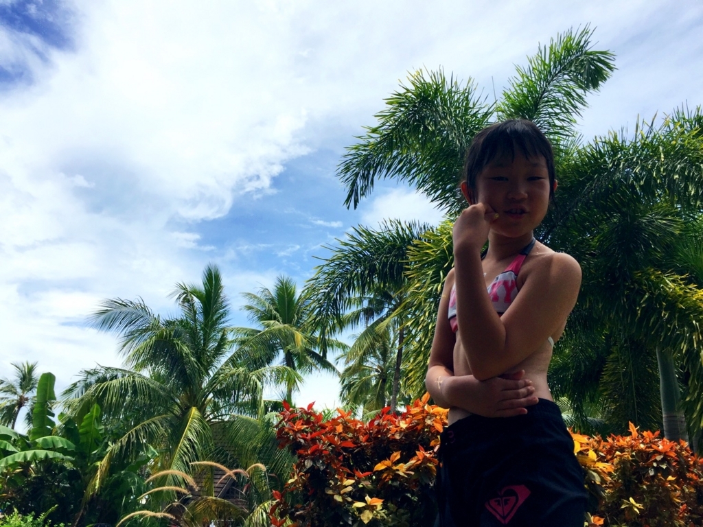 f:id:COCOROCK:20170823143517j:plain f:id:COCOROCK:20170823143517j:plain