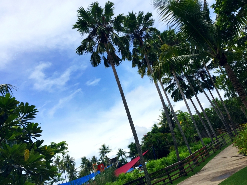 f:id:COCOROCK:20170823143526j:plain f:id:COCOROCK:20170823143526j:plain