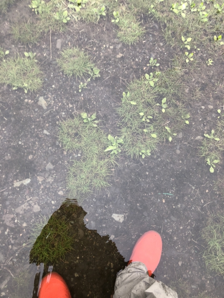 f:id:COCOROCK:20180416213845j:plain f:id:COCOROCK:20180416213845j:plain