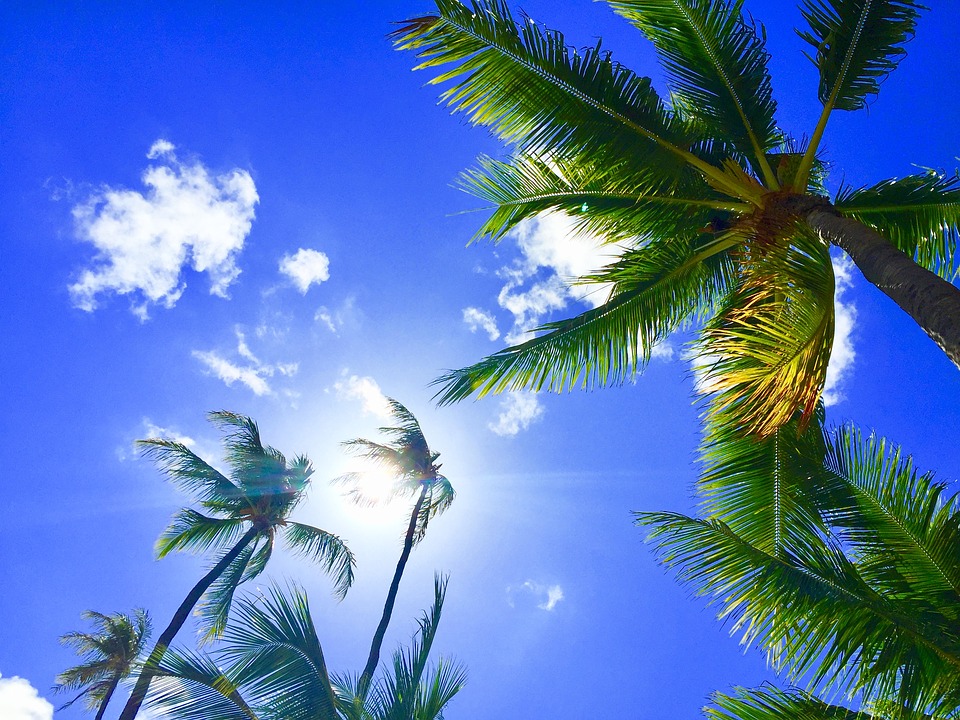f:id:COCOROCK:20180714172527j:plain f:id:COCOROCK:20180714172527j:plain
