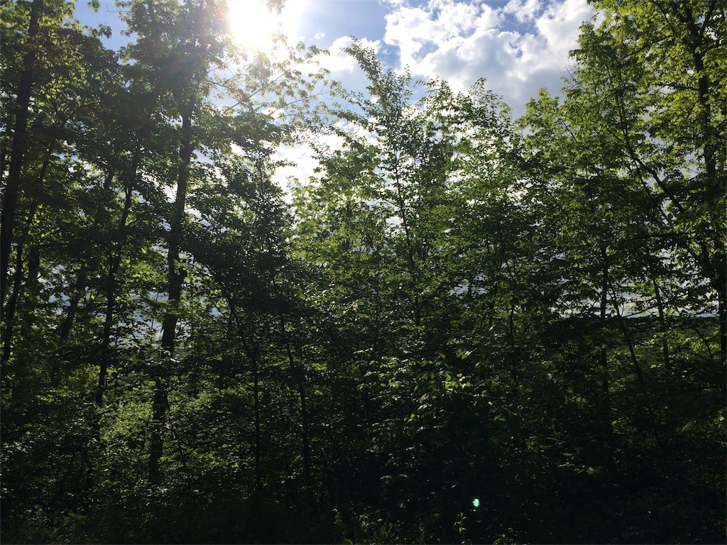 f:id:COEMI:20170606025038j:image f:id:COEMI:20170606025038j:image