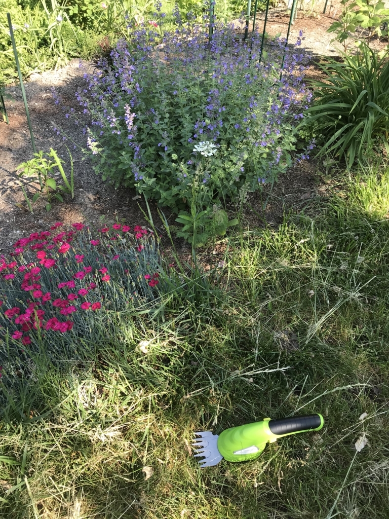f:id:COEMI:20180527222212j:plain f:id:COEMI:20180527222212j:plain
