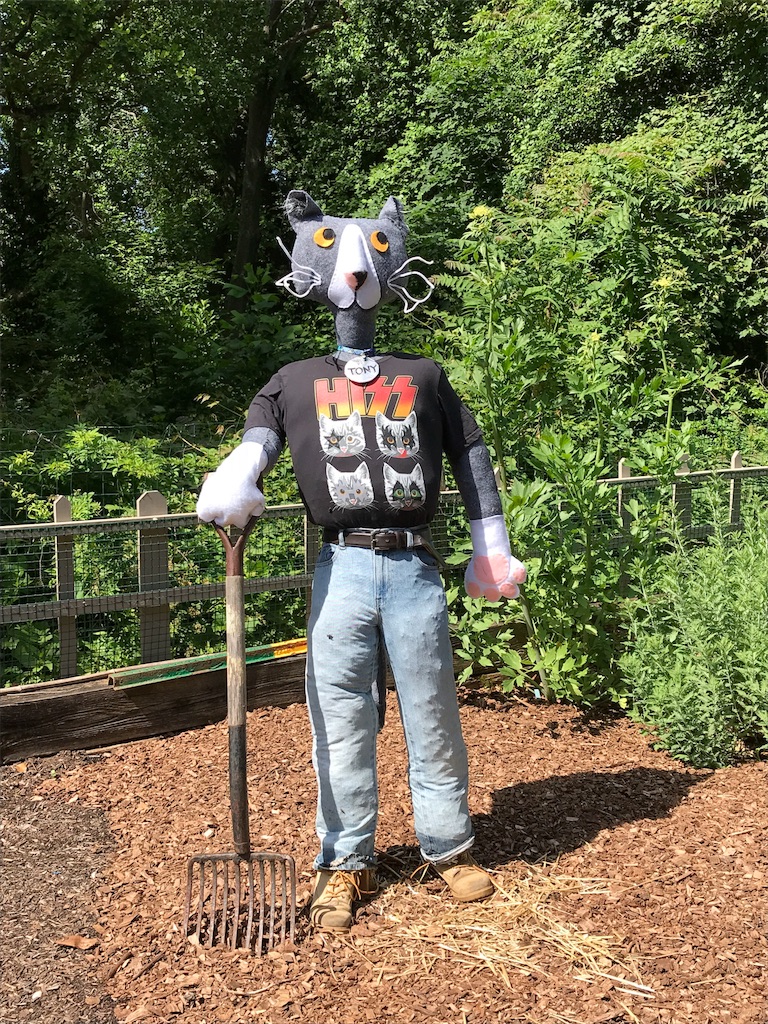 f:id:COEMI:20180622010259j:image f:id:COEMI:20180622010259j:image