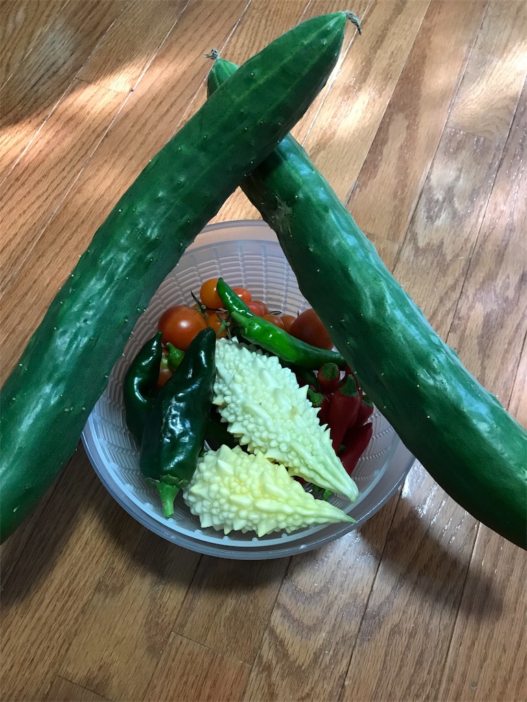 f:id:COEMI:20181003100118j:image f:id:COEMI:20181003100118j:image