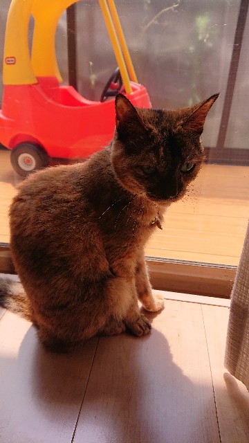 f:id:COFFEEluak:20190809041404j:image f:id:COFFEEluak:20190809041404j:image
