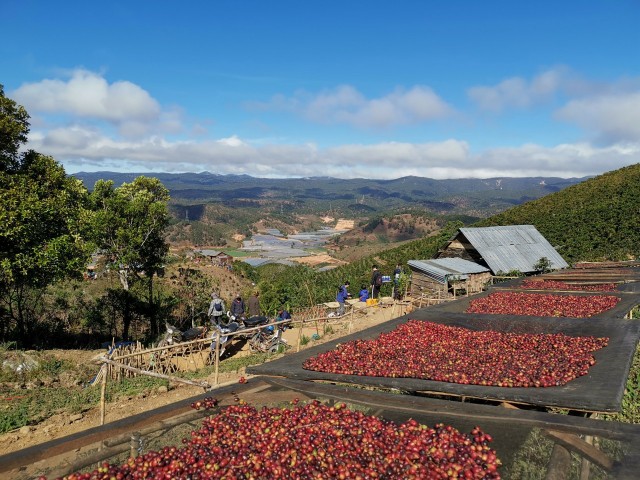 f:id:COFFEEluak:20191216011151j:image