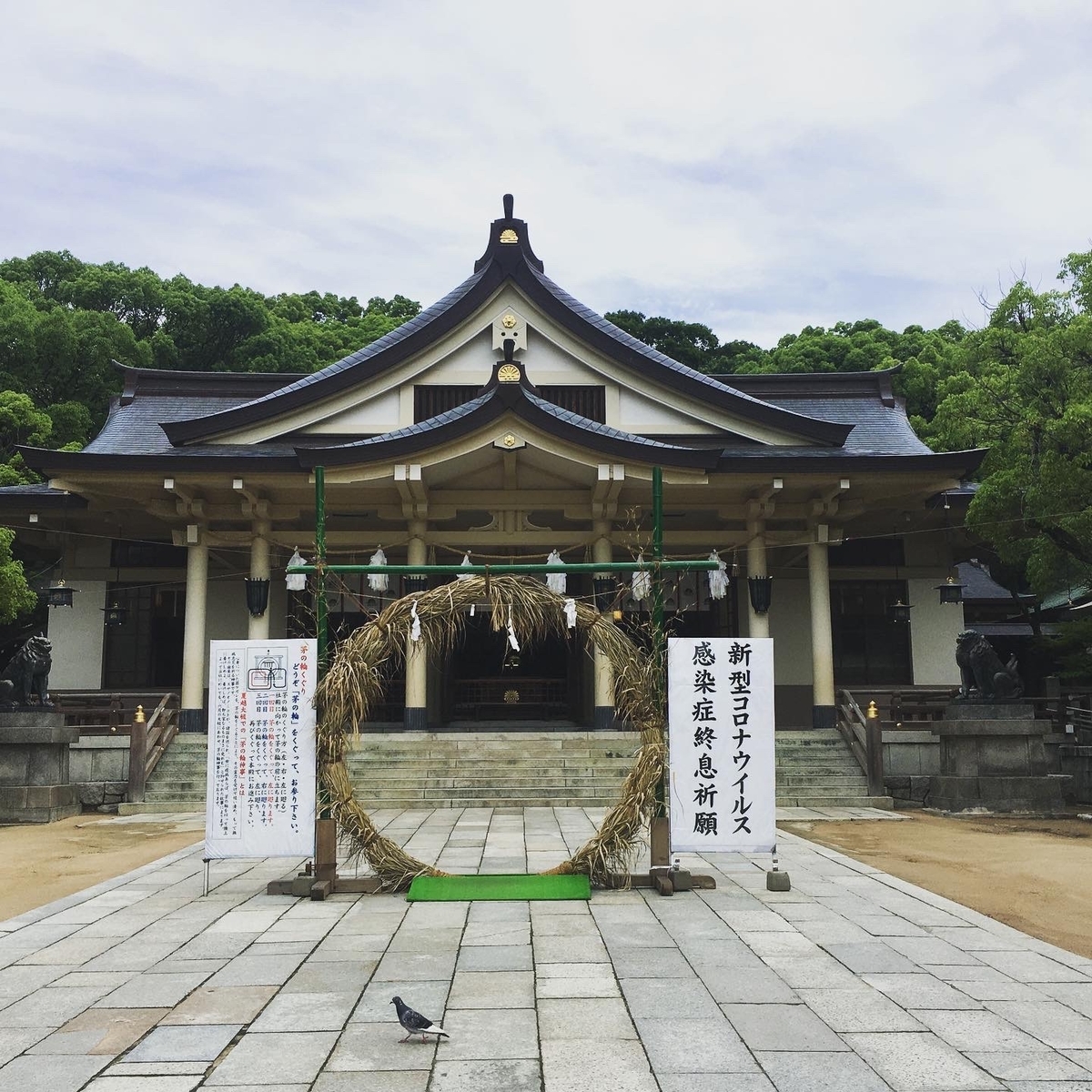 茅の輪　＠湊川神社