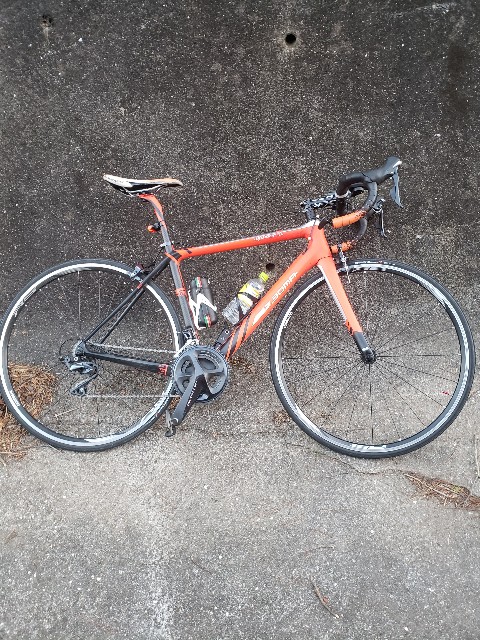 f:id:COLNAGOMAN:20220216015424j:image