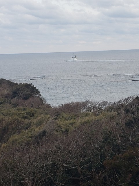 f:id:COLNAGOMAN:20220216015521j:image