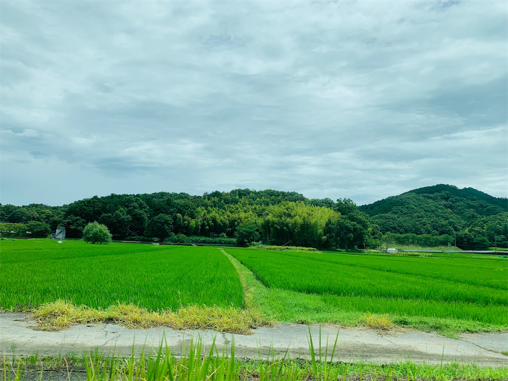 f:id:COM_KAO:20190722212122j:image