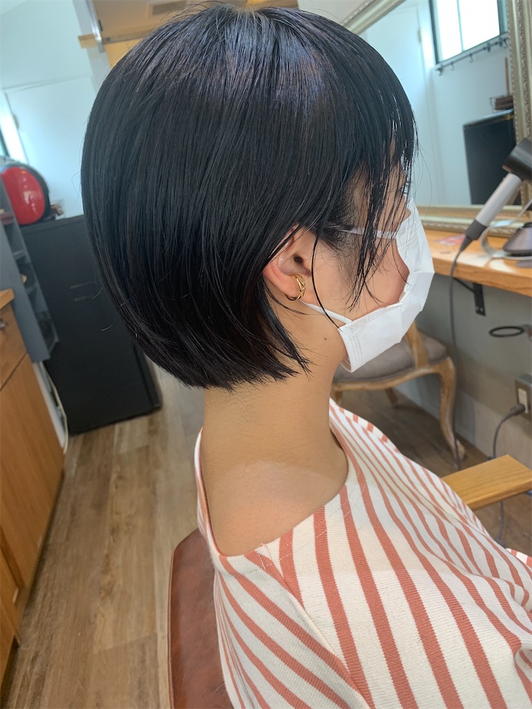 f:id:COM_KAO:20210330220447j:image