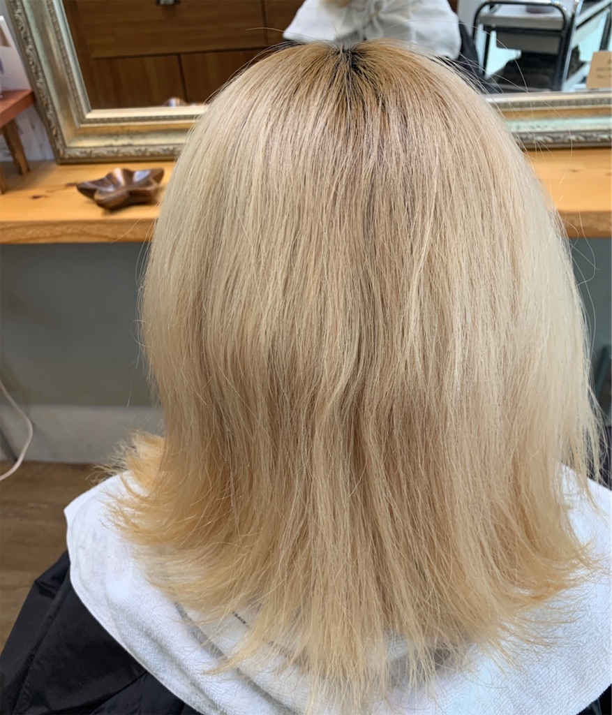 f:id:COM_KAO:20220518221508j:image f:id:COM_KAO:20220518221508j:image