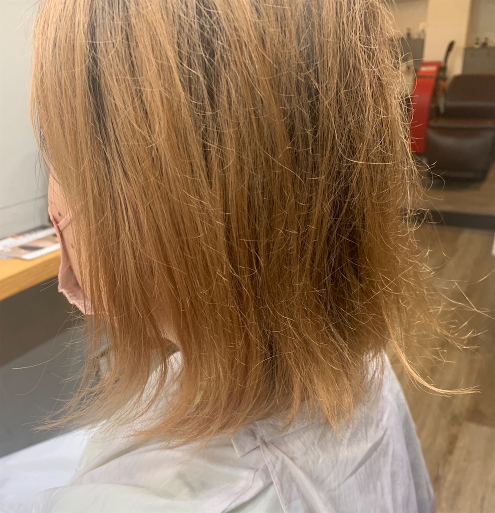 f:id:COM_KAO:20220525215138j:image