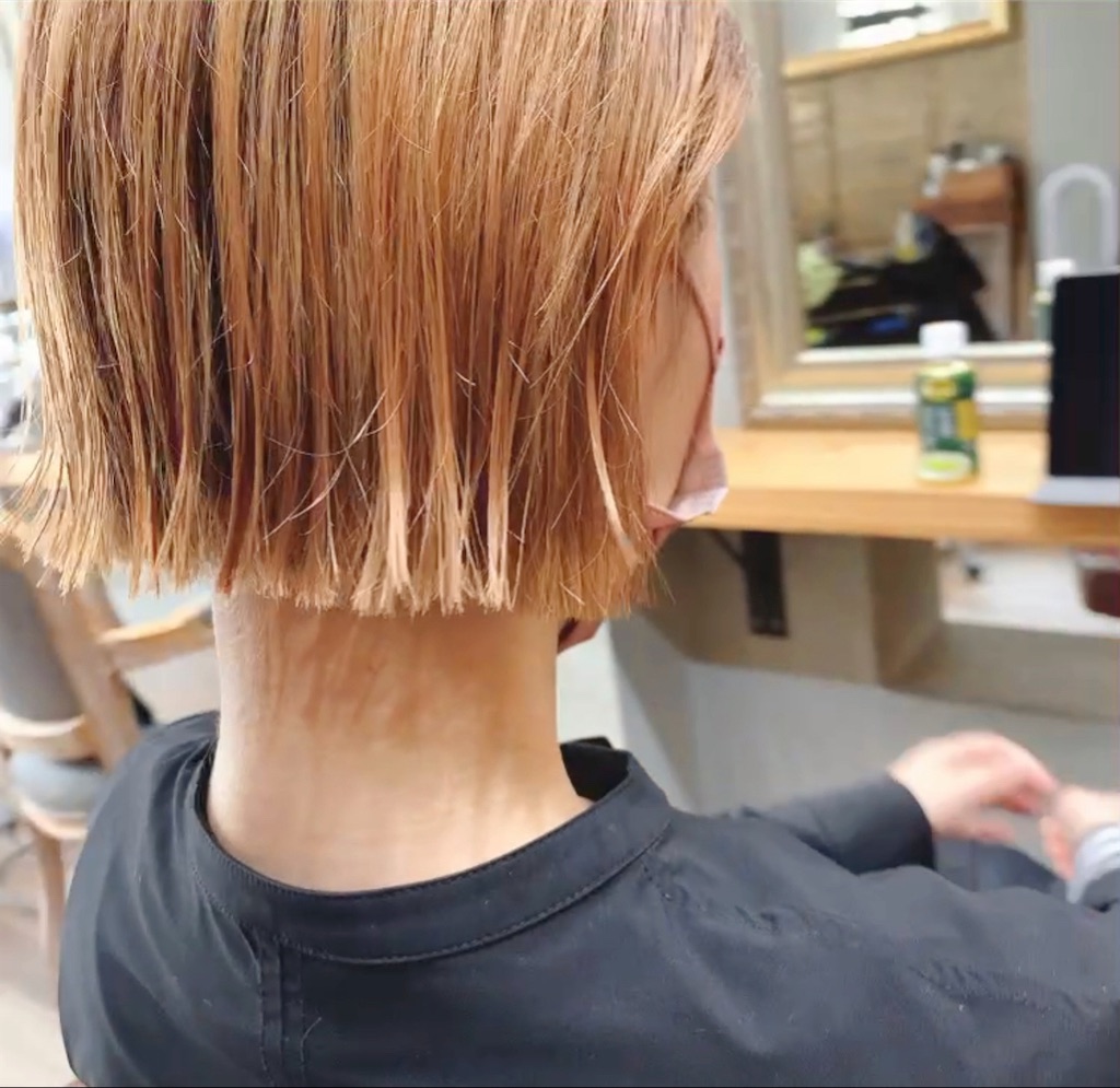 f:id:COM_KAO:20220525215141j:image