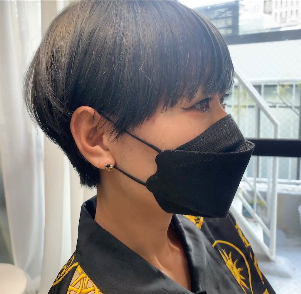 f:id:COM_KAO:20221227223953j:image