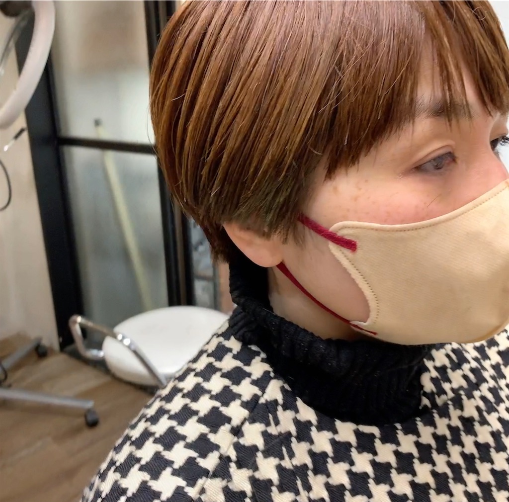 f:id:COM_KAO:20230201170234j:image