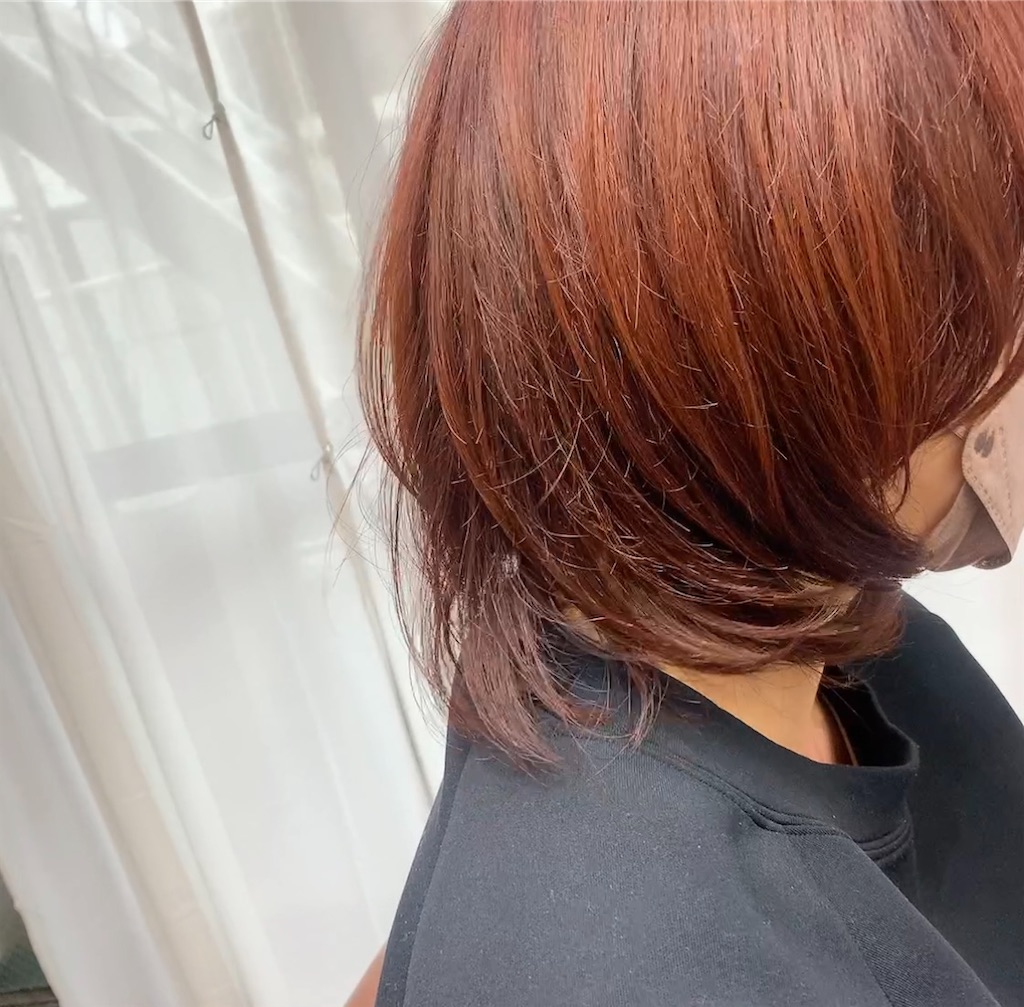 f:id:COM_KAO:20230312221043j:image f:id:COM_KAO:20230312221043j:image