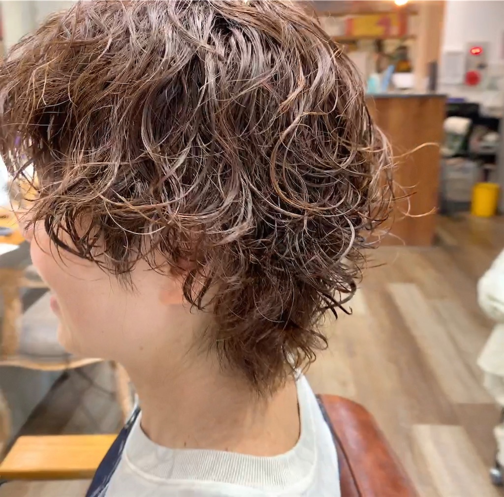 f:id:COM_KAO:20230401221123j:image