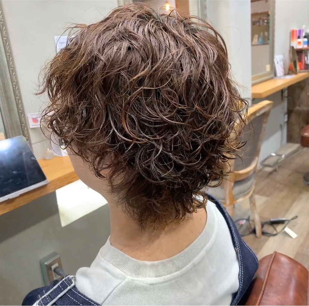 f:id:COM_KAO:20230401221126j:image