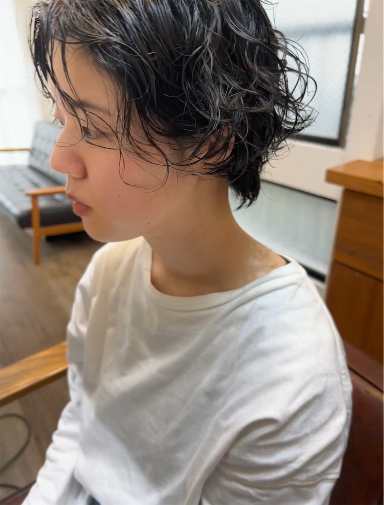 f:id:COM_KAO:20240411141804j:image f:id:COM_KAO:20240411141804j:image