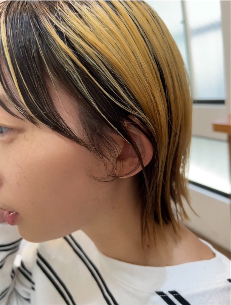 f:id:COM_KAO:20240418125608j:image