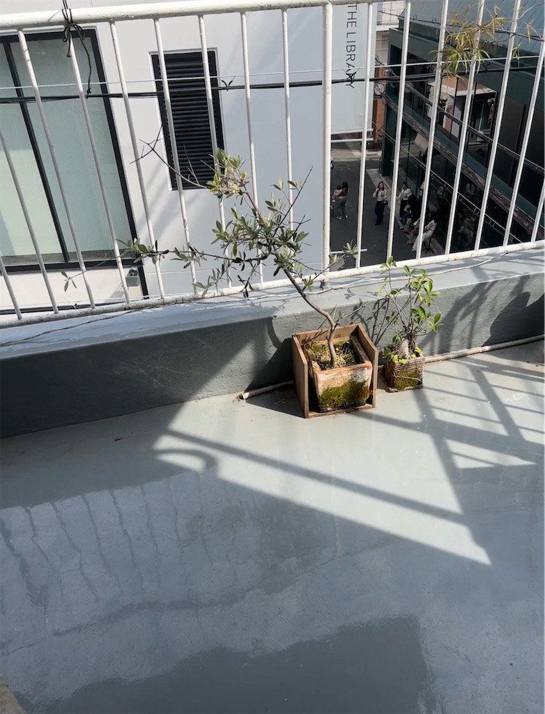 f:id:COM_KAO:20240527222559j:image