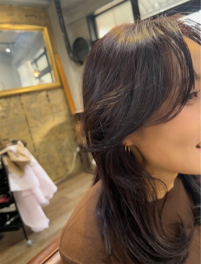 f:id:COM_KAO:20241219202829j:image f:id:COM_KAO:20241219202829j:image