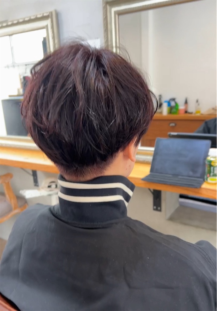 f:id:COM_KAO:20250108125331j:image