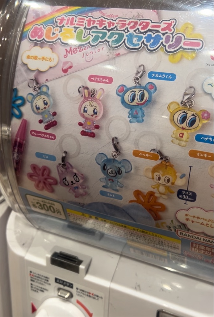 f:id:COM_KAO:20250318174539j:image