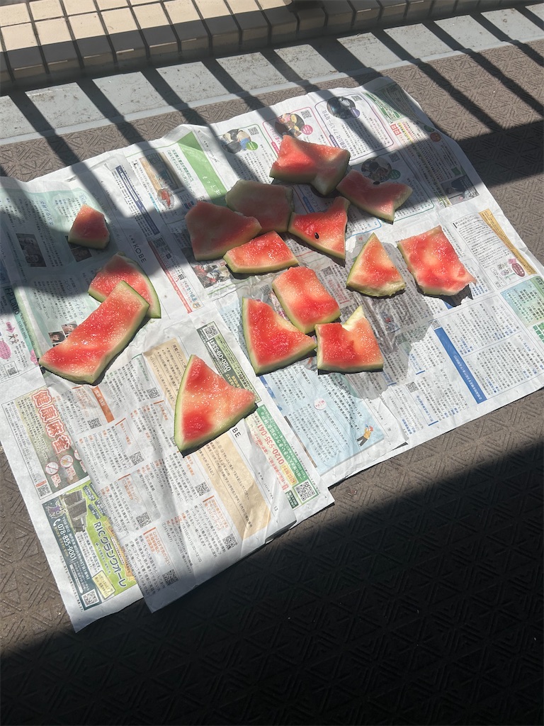 f:id:COM_KAO:20250728201619j:image