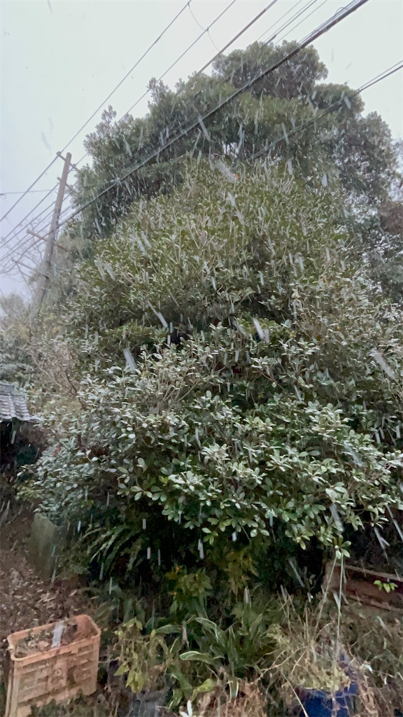 f:id:COM_KAO:20260102194805j:image